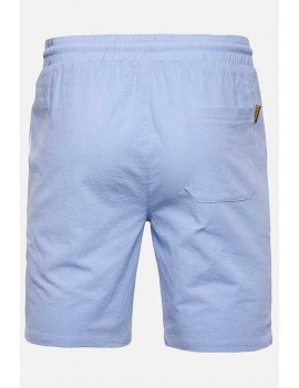 Men Light-blue Drawstring Waist Slant Pocket Casual Shorts