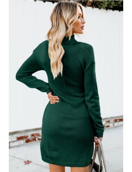 Dark-green Tied Turtle Neck Long Sleeve Casual Sweater Dress